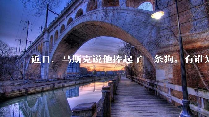 近日，马斯克说他捧起了一条狗。有谁知道这条狗指的是谁？