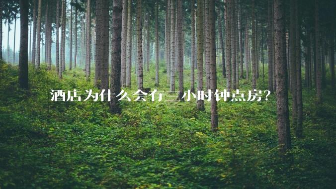 酒店为什么会有三小时钟点房？