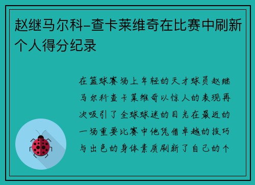 赵继马尔科-查卡莱维奇在比赛中刷新个人得分纪录